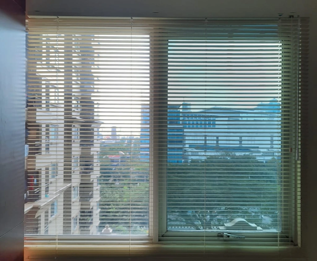 Horizontal Blinds Horizontal Blinds 1 1 ~blog/2024/9/17/1b550152_6c3b_4f71_b77f_aa1499be4046