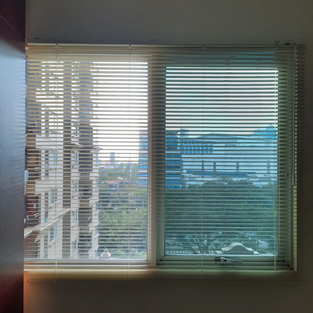 Horizontal Blinds 1