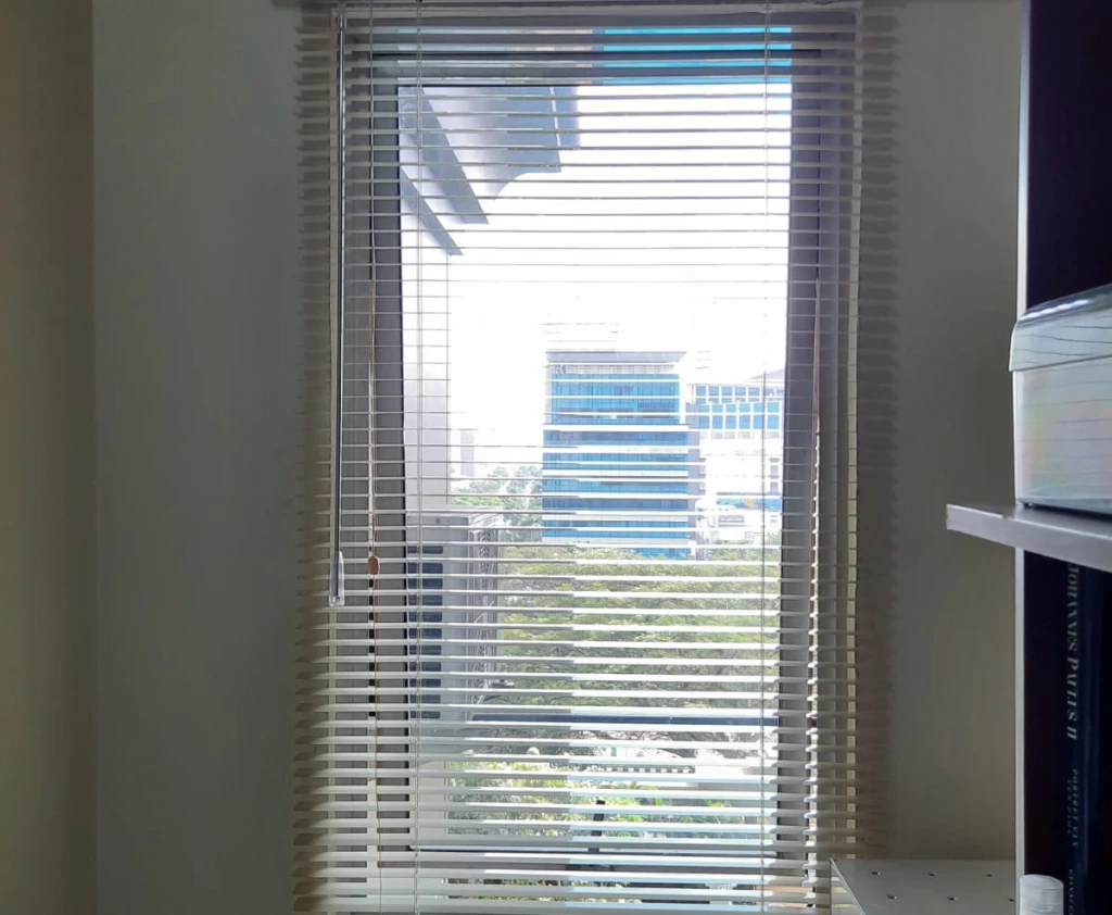 Horizontal Blinds Horizontal Blinds 3 1 ~blog/2024/9/17/6223ced6_9880_4329_9dc9_696222cd1d05